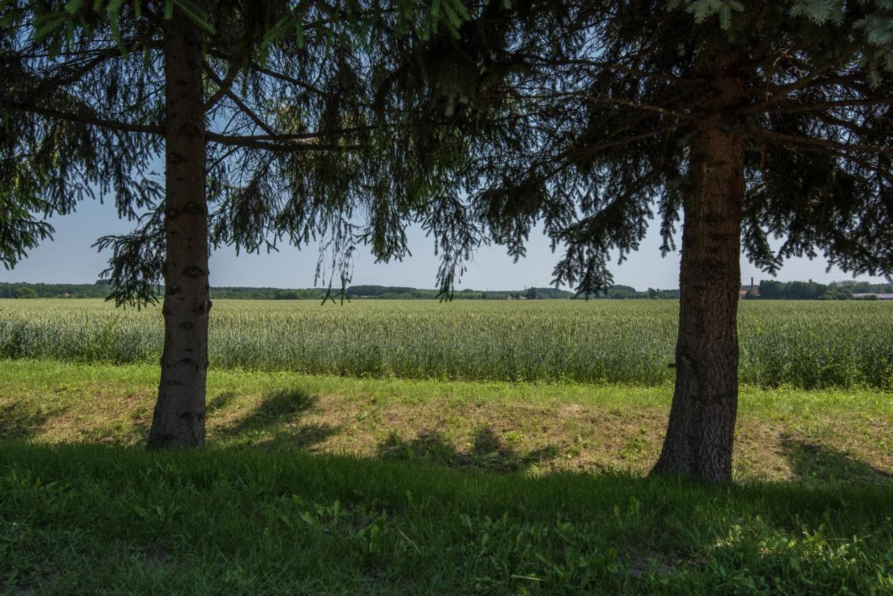 Вілла Posteleki Vendeghaz-Nyugalom Szigetei Дьюла Екстер'єр фото